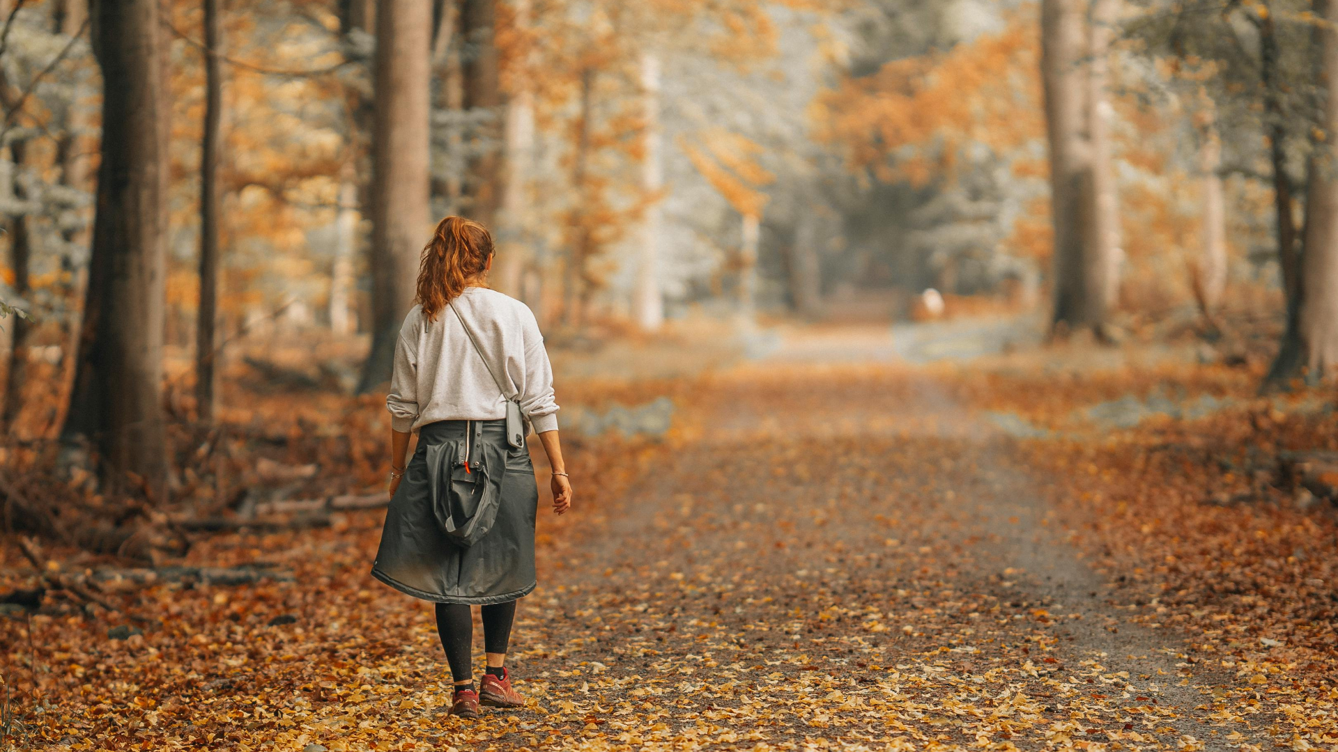 Eine Frau von hinten geht im herbstlichen Wald einen ruhigen Weg entlang – symbolisch für einen inneren Weg, Selbstreflexion und persönliche Entwicklung.