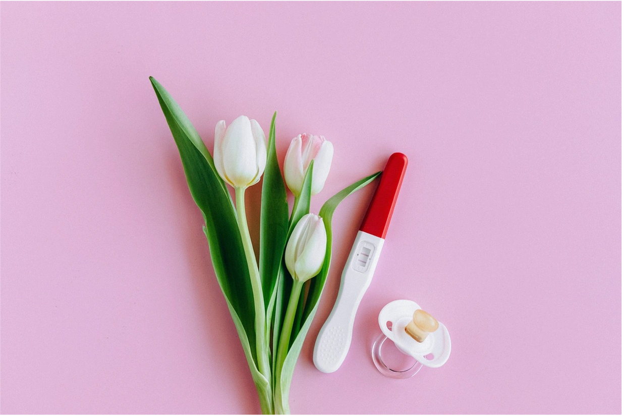 Ursachen für unerfüllten Kinderwunsch: Foto von weißen Tulpen auf rosafarbenem Hintergrund, daneben ein positiver Schwangerschaftstest und ein Schnuller